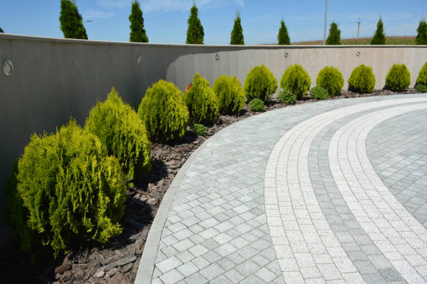 Best Local Driveway Pavers  in West Park, FL